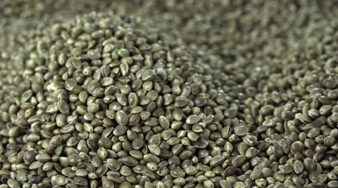 Portion of Hemp Seeds (not loopable) Stock Footage 49683730