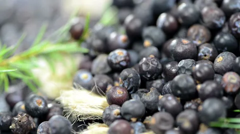 Portion of juniper berries (loopable) Stock Footage 40695878