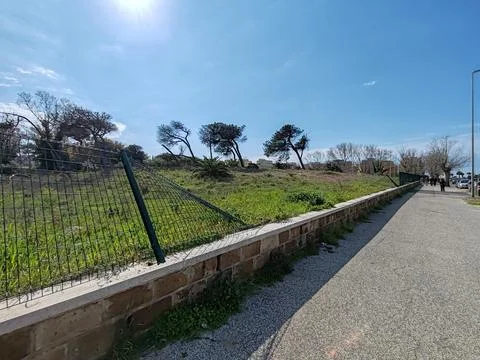 A portion of the last remaining natural dune in Ostia Stock Photos