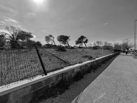 A portion of the last remaining natural dune in Ostia Stock Photos