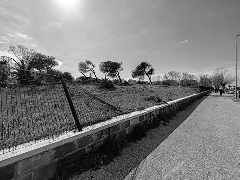 A portion of the last remaining natural dune in Ostia Stock Photos