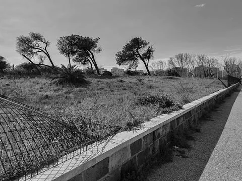 A portion of the last remaining natural dune in Ostia Stock Photos