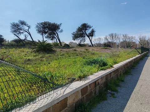 A portion of the last remaining natural dune in Ostia Stock Photos
