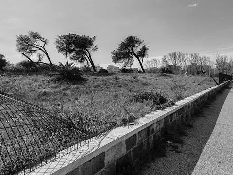A portion of the last remaining natural dune in Ostia Stock Photos