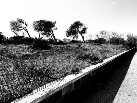 A portion of the last remaining natural dune in Ostia Stock Photos