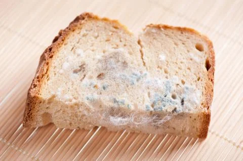 Portion of moldy bread zoom Stock Photos