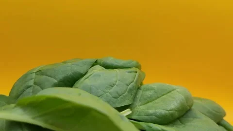 Portion of raw spinach leaves. Stock Footage 291175536