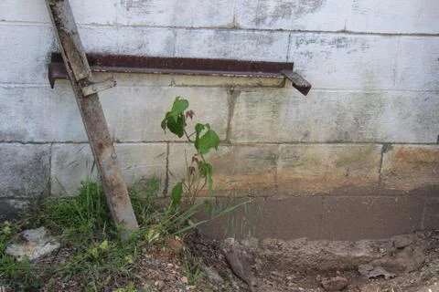 Portion of a Run-Down Block Building Stock Photos