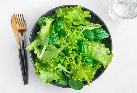 A portion of Salad made from a mixture of fresh basil leaves and lettuce on a Stock Photos