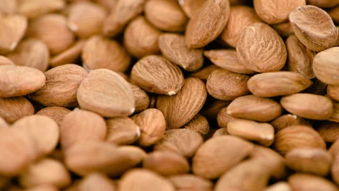 Portion of shelled Apricot Kernels on a rotating plate (seamless loopable) Stock Footage 130954285