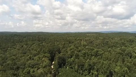 A portion of the vast Alabama forest seen from above Stock Footage 340524933