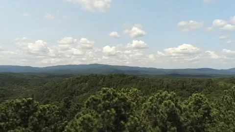 A portion of the vast reaching Alabama forest seen from above Stock Footage 340524939