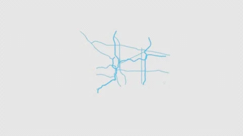 Portland City Line Map Self Drawing Animated Overlay, Alpha 4K Vídeos de archivo 340286496