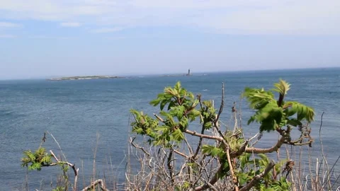 Portland Head Light Stock Footage 187596864