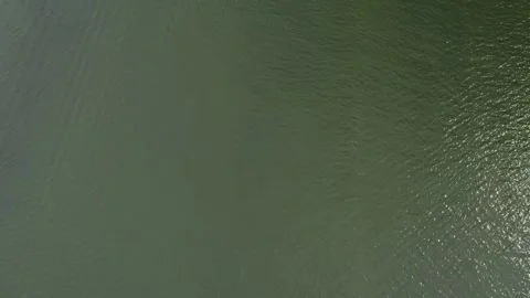 Portland, OR, toxic Algae bloom in Willamette River 4K Stock Footage 248463371