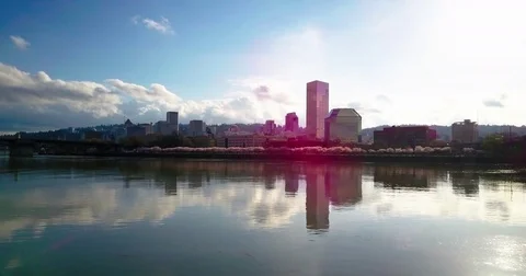 Portland Sakura Vídeo Stock 74486756