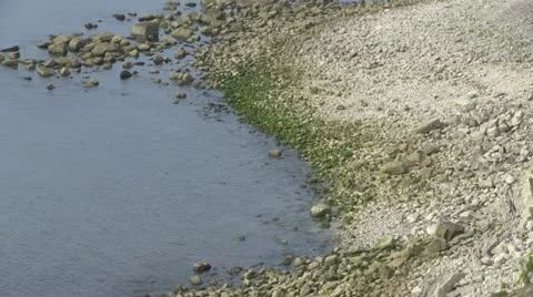 Portland stoney beach Stock Footage