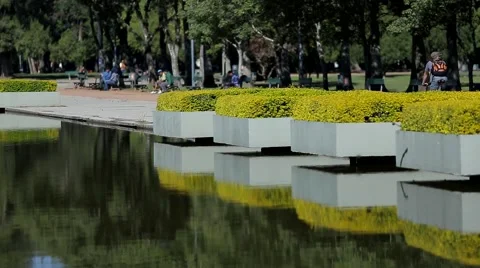 Porto alegre park Stock Footage 54801128