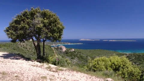 Porto Cervo Video stock 152992946