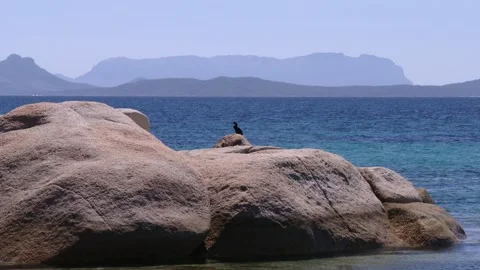 Porto Cervo Video stock 152993886