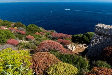 Porto Conte Stock Photos