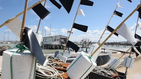 Porto Stock Footage 74751129