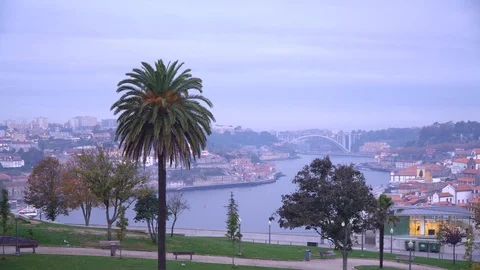 Porto Video stock 128672023