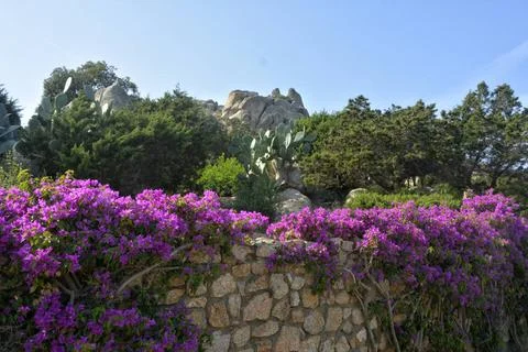 Porto Rafael Sardinien ein paradiesisch anmutender Garten in den Bergen un... Stock Photos