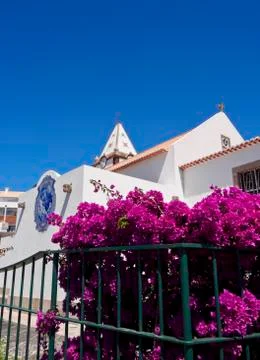 Porto Santo Stock Photos
