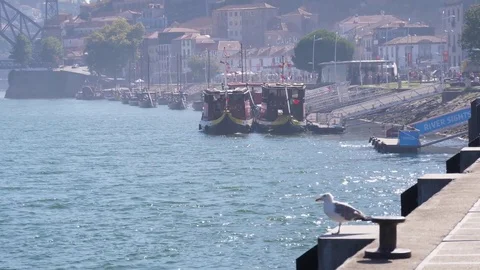 Porto tourist rabelo traditional boat trip river tour Portugal 4k Stock Footage