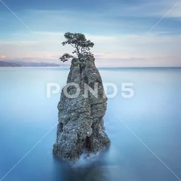 Portofino park. Pine tree rock cliff. Long exposure. Liguria, Italy Stock Photos