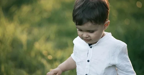 Portrait of a 2-year-old boy. He walked through the park. Slow Motion Stock Footage