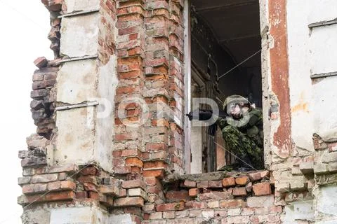 Portrait of armed woman with camouflage. Young female soldier observe with fi Stock Photos