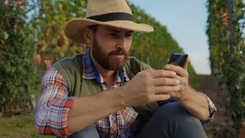 Portrait of attractive bearded farmer in strawhat browsing news on smartphone Stock Footage 116990147