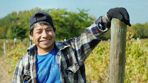 Portrait of an authentic Mexican farmer. Standing on the field, looking at the Stock Footage 81660963