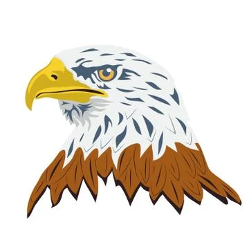 Portrait of a bald eagle, isolated on white background. Vector Stock Illustration