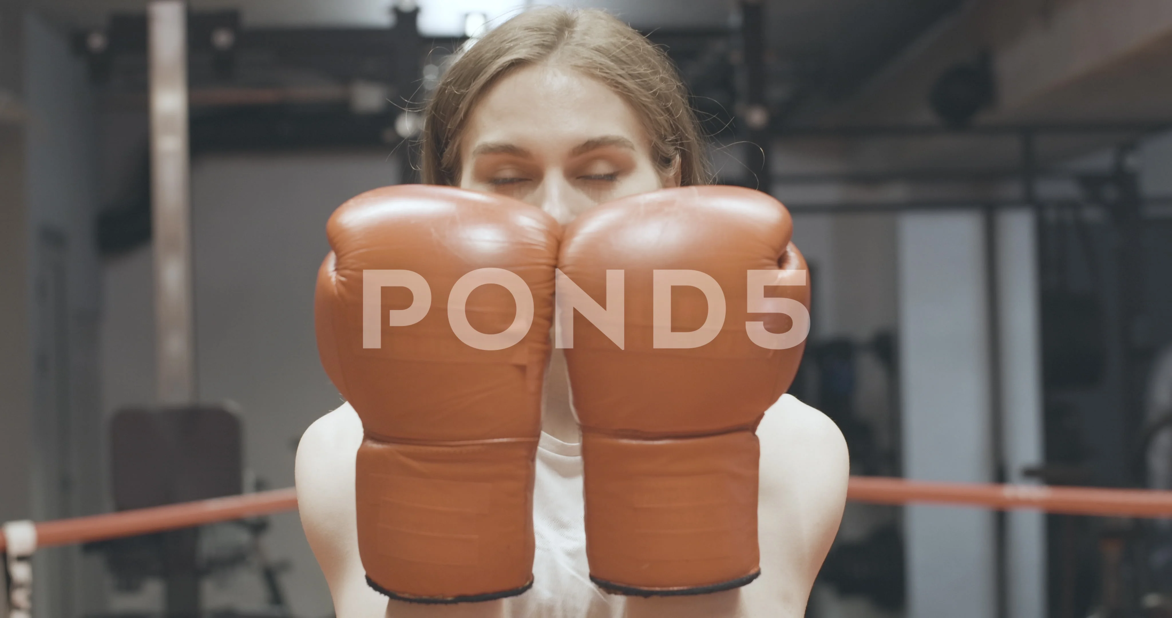 Free boxing Stock Video Footage - Royalty Free Video Download | Coverr