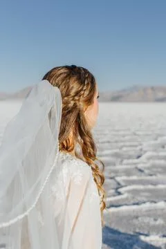 Portrait of a beautiful side-view of a bride with a veil Stock Photos