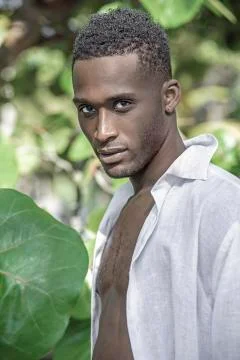 Portrait of black guy in the trees Stock Photos
