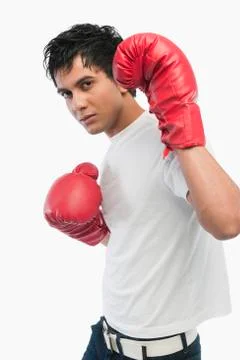 Portrait of a boxer in action Fotos Stock