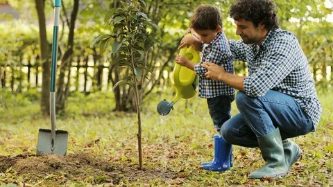 Portrait of a boy and his dad watering a tree. Dad helps his son. Happy family Stock Footage 81054391