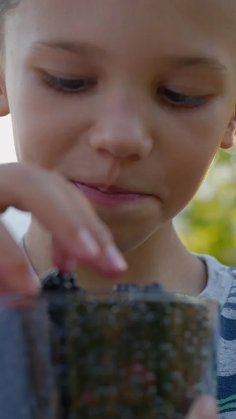 Portrait of a Boy with a Blackberry Looking at Camera Stock Footage 314447044
