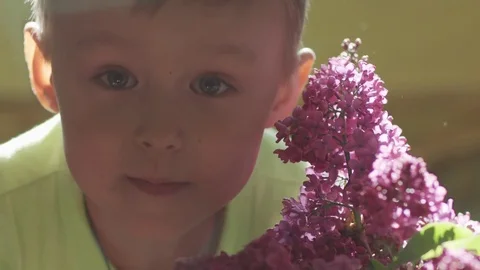 Portrait of boy with blurred background of lilac Stock Footage 75325131