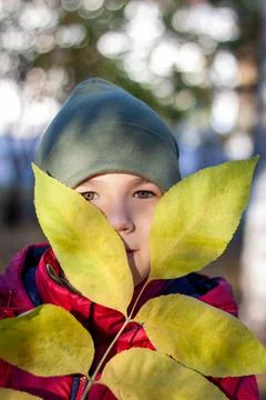Portrait of a boy with fallen leaf Stock Photos