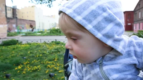 Portrait of a boy Stock Footage 131337588