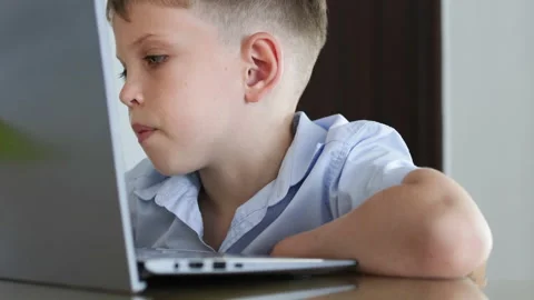 Portrait of boy looking at the laptop screen. Stock Footage 310218022