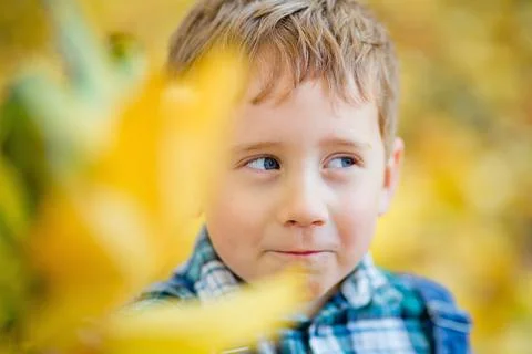 Portrait of a boy in the open air against a background of yellow leaves. Cute Stock Photos