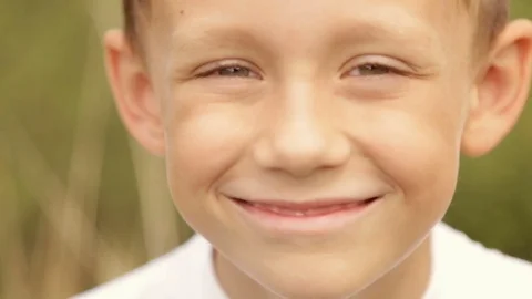 Portrait of a boy outdoors Stock Footage 84845920
