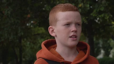 Portrait of a boy outdoors in the park. The child speaks Stock Footage 250224341