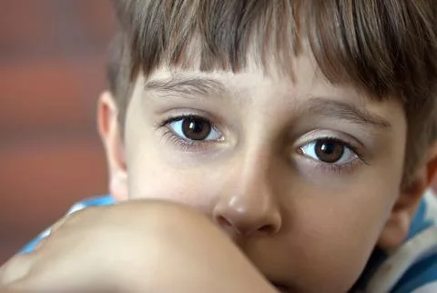Portrait of a boy Stock Photos